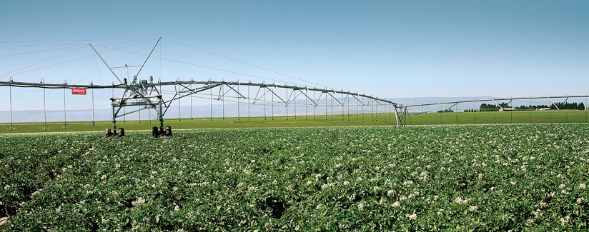 Washington Potato Grower Irrigates with Precision