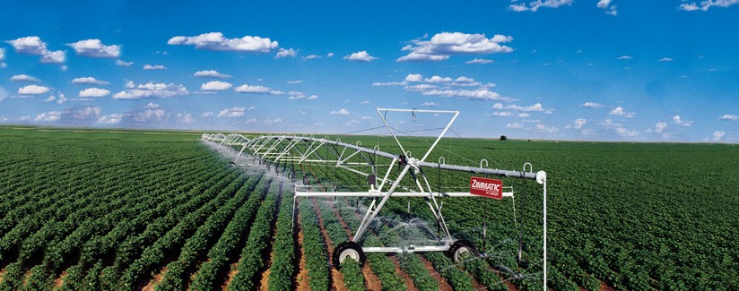 Irrigation Scheduling Can Help Maximize Cotton Production