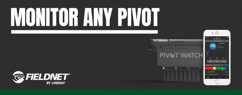 Five Things You Should Know About Pivot Watch