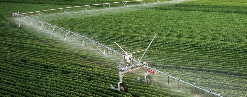 Technology Helps Growers Decide When to Stop Irrigating