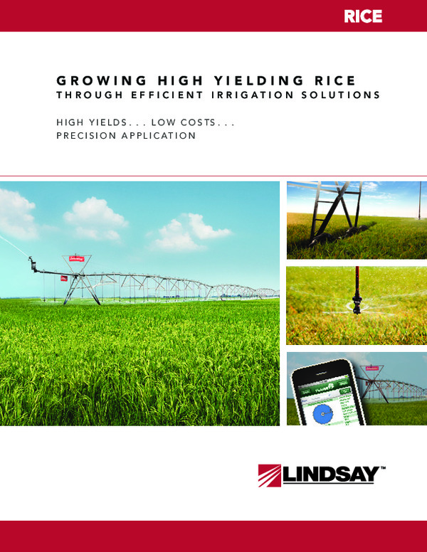 Increasing Rice Yields