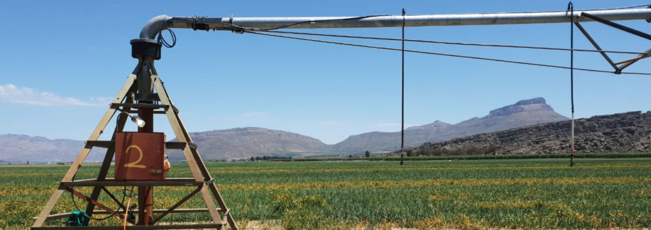 FieldNET Helps South African Operation Maximize Efficiency