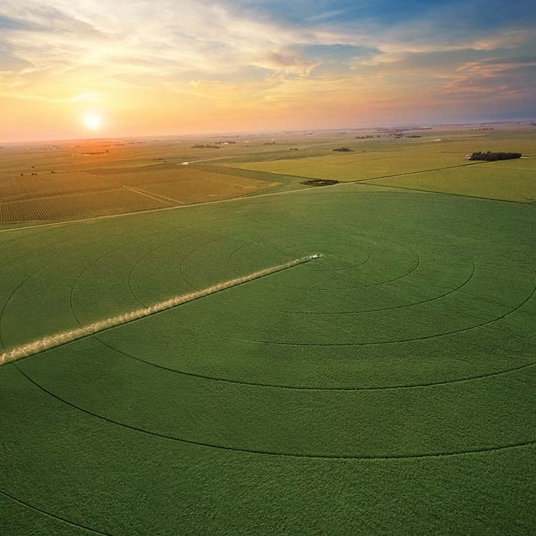 See how pivot irrigation can increase yields.