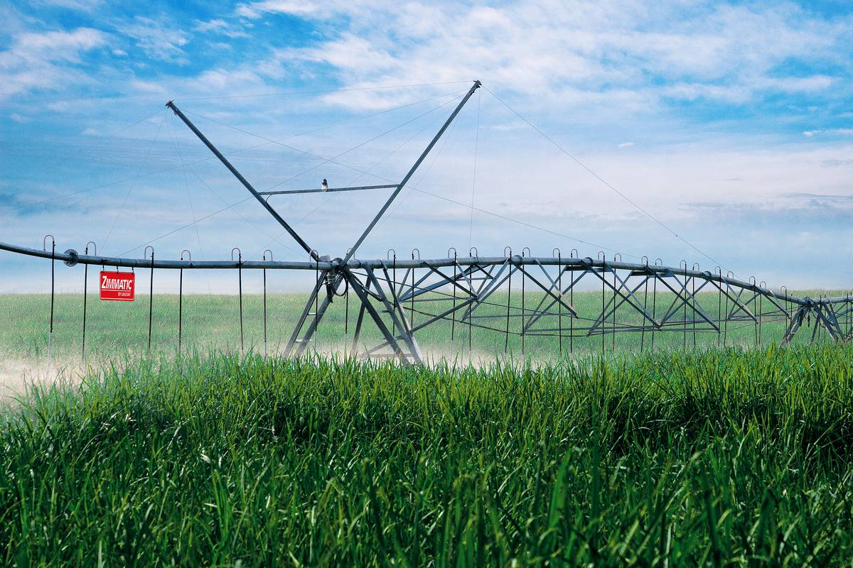 Caneid Crop Spotlight: Powering Biofuels with Corn, Soy and Sugar Cane
