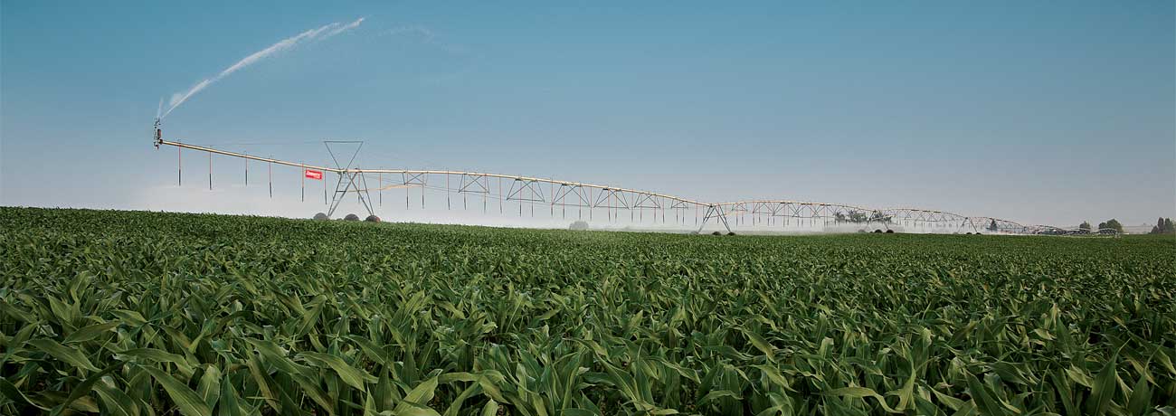 Congrats to the Corn Yield Contest Winners