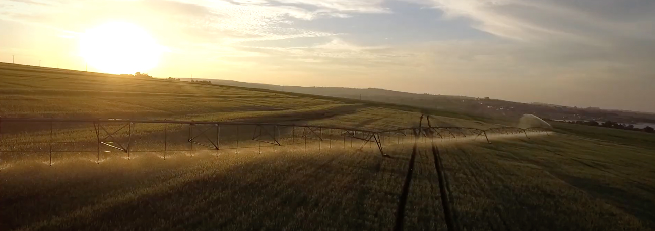 Irrigation Allows Brazilian Growers to Plant and Harvest Year Round