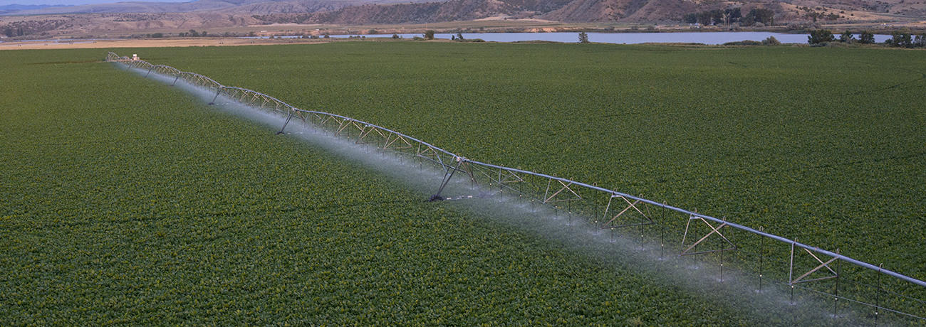The Most Important Irrigation Decisions Can Come at End of the Season