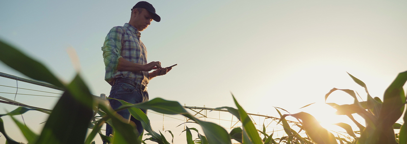 AI in Agriculture: How It’s Revolutionizing the Industry