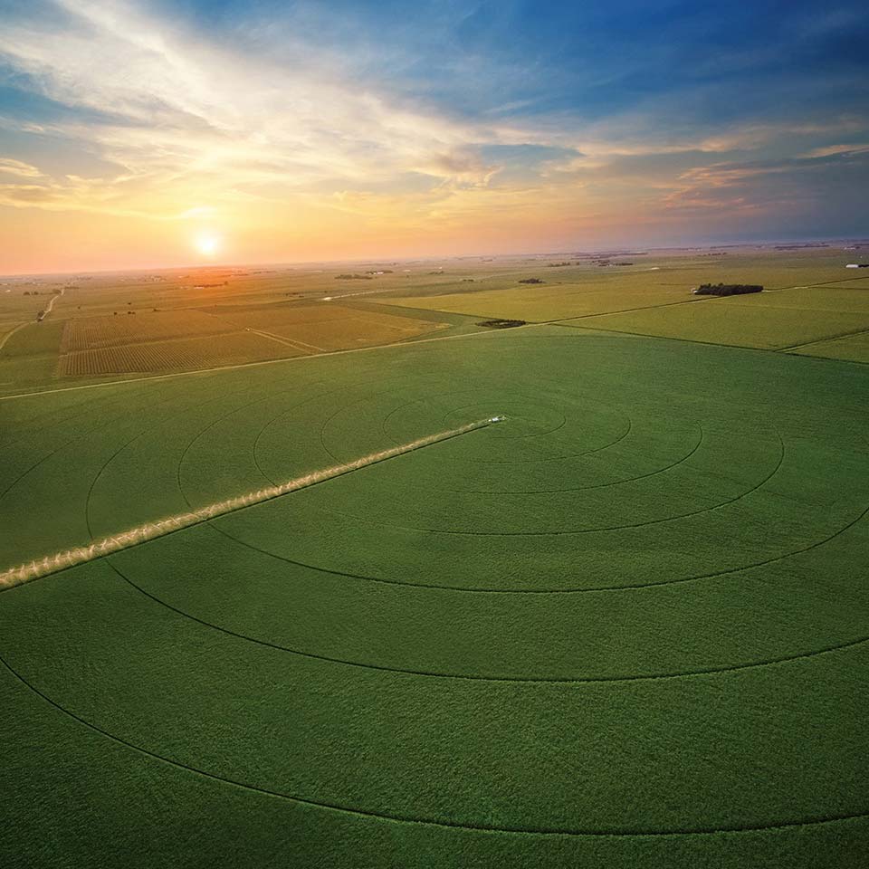 Learn how pivot irrigation increases yields on a variety of crops.
