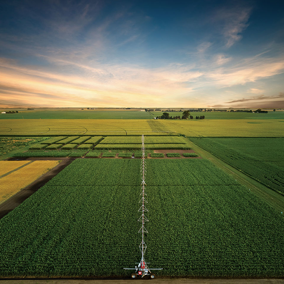 Unreal potential': Sima's rapid rise from farmland practice to